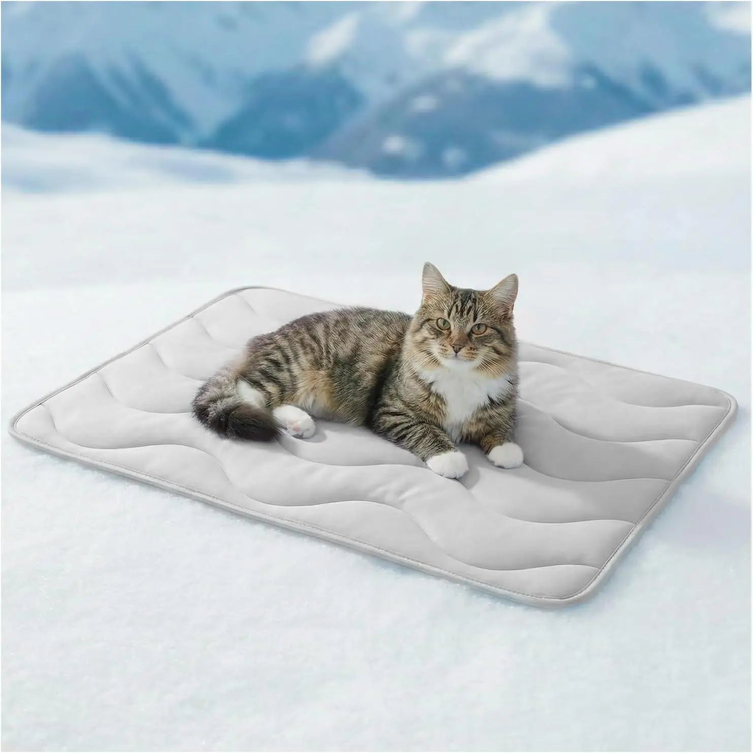 Dog Cooling Mat for Large Dogs, 30"X20" Self Cooling Pet Cooling Mat for Dogs & Cats, QMAX>0.5, Thickened Cool Fiber, Cooling Pad for Dog Bed, Durable Portable Indoor/Outdoor Summer,Blue
