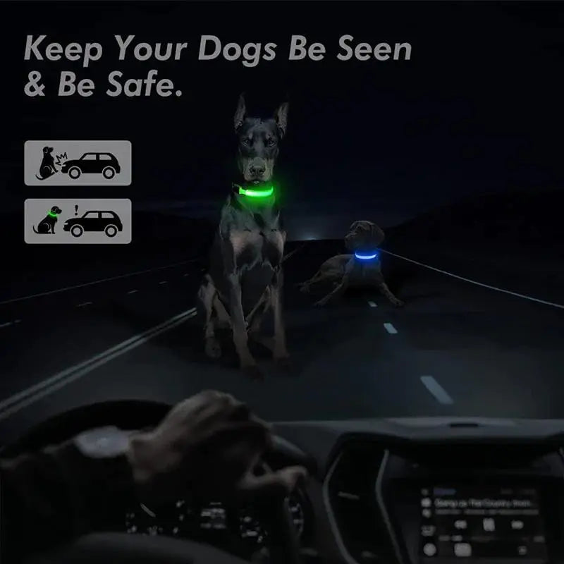 LED Dog Collar Light up USB Rechargeable Adjustable Comfortable Soft Mesh Safety Collar for Small Medium Large Dogs