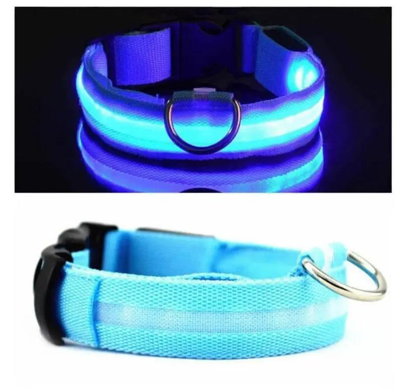 LED Dog Collar Light up USB Rechargeable Adjustable Comfortable Soft Mesh Safety Collar for Small Medium Large Dogs